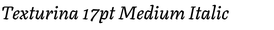 Texturina 17pt Medium Italic.ttf