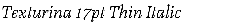 Texturina 17pt Thin Italic.ttf