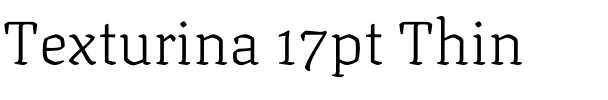 Texturina 17pt Thin Regular.ttf