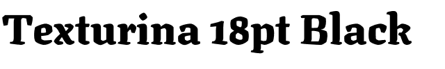 Texturina 18pt Black Regular.ttf