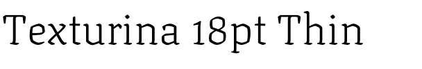 Texturina 18pt Thin Regular.ttf
