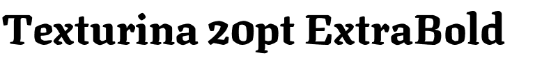 Texturina 20pt ExtraBold Regular.ttf