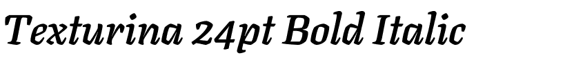 Texturina 24pt Bold Italic.ttf