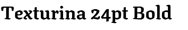Texturina 24pt Bold.ttf