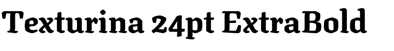 Texturina 24pt ExtraBold Regular.ttf
