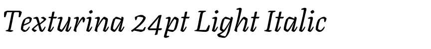 Texturina 24pt Light Italic.ttf