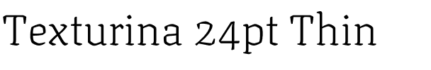 Texturina 24pt Thin Regular.ttf