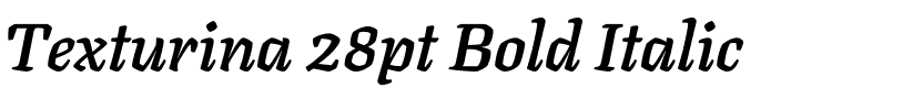 Texturina 28pt Bold Italic.ttf