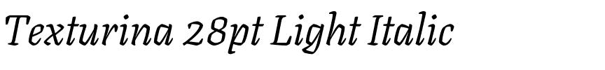 Texturina 28pt Light Italic.ttf