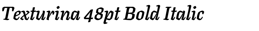 Texturina 48pt Bold Italic.ttf