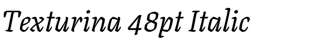Texturina 48pt Italic.ttf
