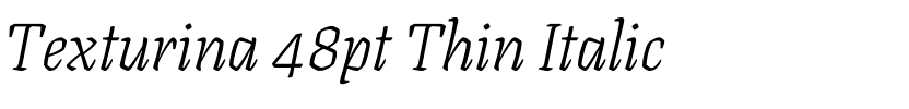 Texturina 48pt Thin Italic.ttf