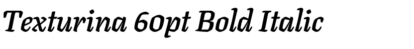 Texturina 60pt Bold Italic.ttf