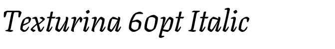 Texturina 60pt Italic.ttf