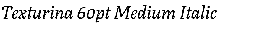 Texturina 60pt Medium Italic.ttf