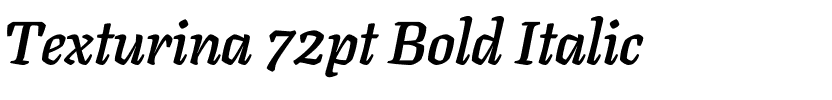 Texturina 72pt Bold Italic.ttf