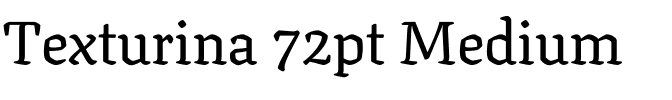 Texturina 72pt Medium Regular.ttf