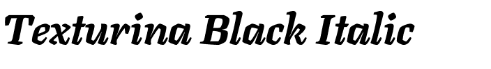 Texturina Black Italic.ttf