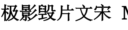 极影毁片文宋 Medium Medium.ttf